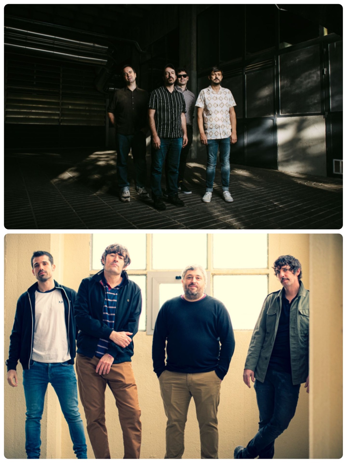 Tigres Leones + Nuevos Hobbies