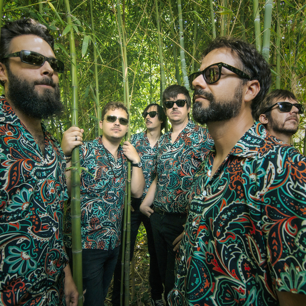 Los Mejillones Tigre