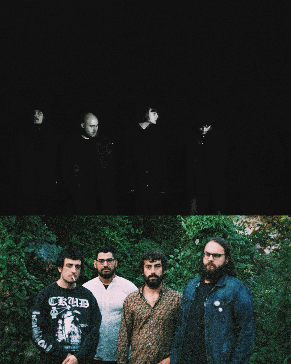 palmeras negras + Hartz